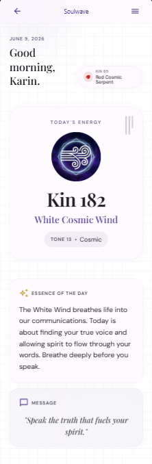 Soulwave daily energy and guidance screen